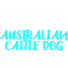 Australian Cattle Dog Owner Owner