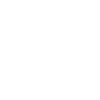 Border Terrier