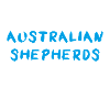 Australian Shepherd