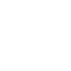 Bearded Collie
