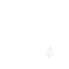 Feuilles d’Europe - Blanc Design naturel
