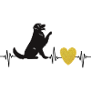 Golden Heart, Golden Retriever