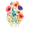 Aquarelle Fleurs Sauvages Boho