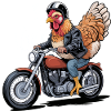 Rooster Biker: Lederjacke auf dem Fahrrad