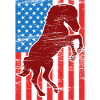 US Flagge Reiten