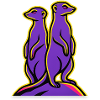 Two meerkats on a hill