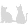 Chats dos à dos Design
