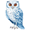 Snow White Blue Owl Drawing