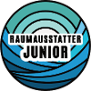Raumausstatter Junior Kind Raumausstattersohn