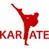 Karate Kick Silhouette