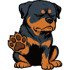 Rottweiler Propriétaire de Rottweiler Lovers