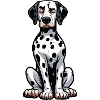 Dalmatians Dalmatian Keepers Dalmatian Owners