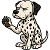 Dalmatians Dalmatian Keepers Dalmatian Owners