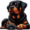 Rottweiler Propriétaire de Rottweiler Lovers