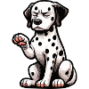 Dalmatians Dalmatian Keepers Dalmatian Owners