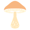 Mushroom Natural Illustration
