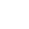BRSRKR v2