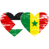 Palestine Sénégal drapeau coeur utilisé