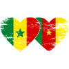 Sénégal Cameroun Drapeau Mains Coeur Utilisé