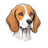 Beagle Cartoon Portrait