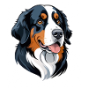 Bernese Mountain Dog Portrait Cartoon