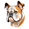 Bulldog Head Cartoon Illustration