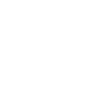 Border Terrier