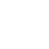 Cairn Terrier