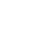 calopsitte disant maman calopsitte cadeau