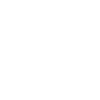 calopsitte disant maman calopsitte cadeau