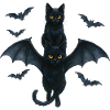 Black Cats with Bat Wings Halloween