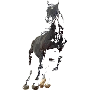 Pferd