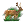 Deer in brush style