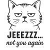 Sarcastic Cat – Jeezzz not you again