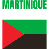 Martinique Antilles flag T-shirt