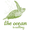 The Ocean Is Calling - Turtle