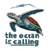 L’appel de l’océan - Turtle Beach