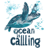 Turtle - the ocean is calling