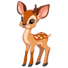 roe deer