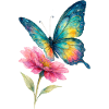 Bunter Schmetterling und Blüte