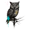 NightOwl with Paint Splashes