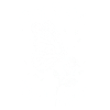 Papillon antisocial - Drôle de dicton