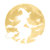 Moonlight Witch on Broom