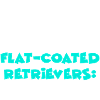 Flat-Coated Retriever