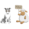 Border Collie et moutons