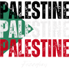 Palestinian flag, Palestinian pride