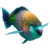 Farbenfroh Fisch Pop-Art