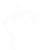Requin