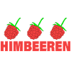 RASPBERRIES