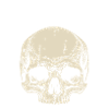 Crâne Gothique Police Memento Mori